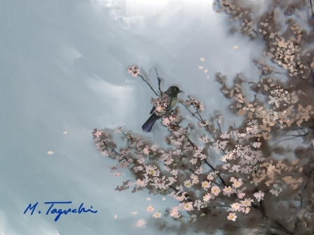 ��i10�D���ƒ�